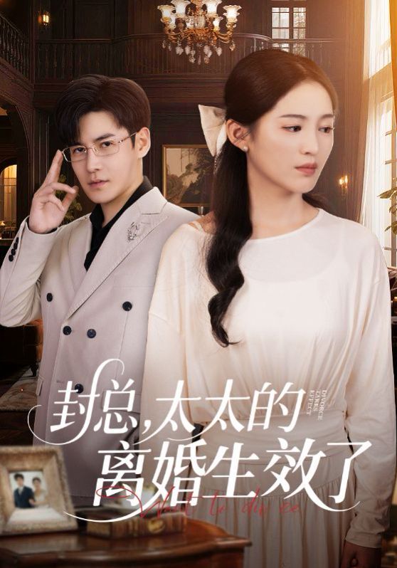 封总太太的离婚生效了(全集)