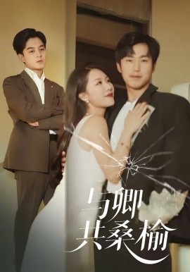 与卿共桑榆(全集)