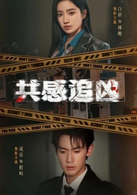 共感追凶(全集)