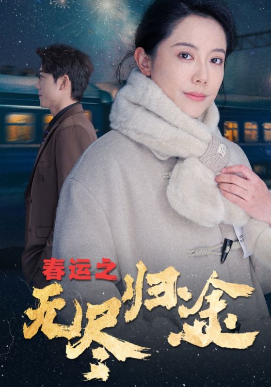 春运之无尽归途.