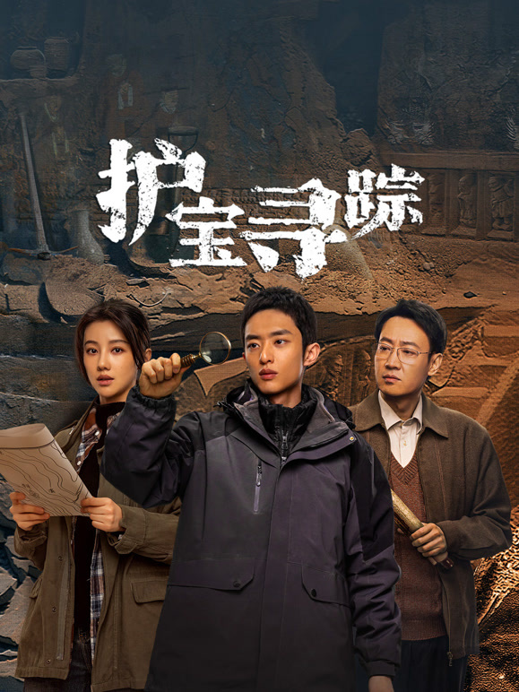 护宝寻踪(全集)