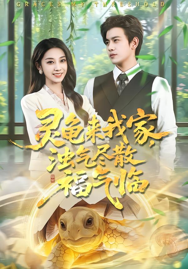 灵龟来我家，浊气尽散福气临